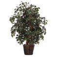thumbnail image 1 of Vickerman TXX0740 Everyday Sakaki Bush, Green Dark, 4', 1 of 1