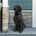 thumbnail image 1 of Angelo Décor 31.7-inch Max Lab Statue, 1 of 7