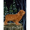 thumbnail image 1 of Carolines Treasures SS8174CHF Spaniel Drapeau Toile - Taille de la Maison, 1 of 4