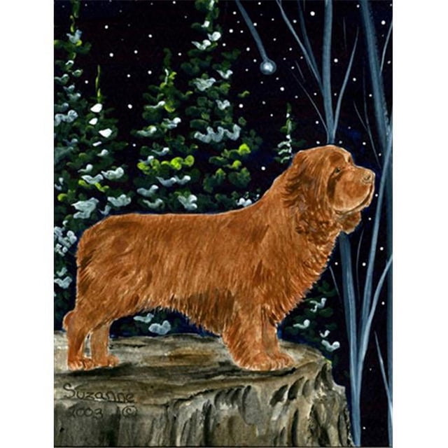 Carolines Treasures SS8174CHF Spaniel Drapeau Toile - Taille de la Maison