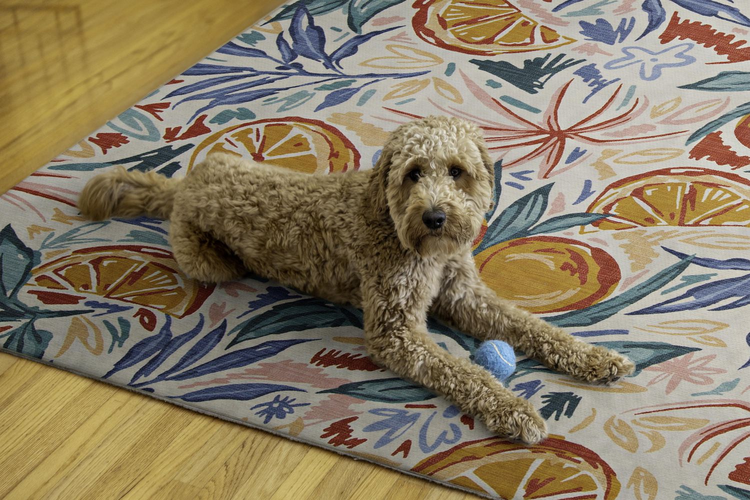 Tapis d'extérieur lavable Pensacola ivoire & orange 5 pi x7 pi