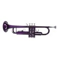 thumbnail image 3 of Gupbes Trumpet Set B Flat Brass Replacement Musical Instrument Accessories with Storage Bag,B Flat Trumpet,Trumpet Replacement, 3 of 7
