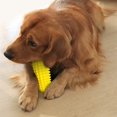 thumbnail image 2 of Durable Corn Shape Dog Toy Squeaky Bite-resistant Teeth Cleaning Perfect for Medium Large Dogs Pet Supply, 2 of 5