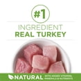 thumbnail image 4 of Purina ONE +Plus Indoor Advantage Turkey, Dry Cat Food 7.2kg, 4 of 10