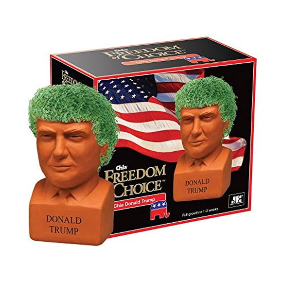 Chia Donald Trump President avec Paquet de Graines, (8 Pouces x 4.5 Pouces x 7.3 Pouces) Jardinière Décorative en Poterie, Facile à Faire et Amusante à Cultiver, Cadeau Fantaisie, Parfait pour Toute Occasion Animal de Compagnie