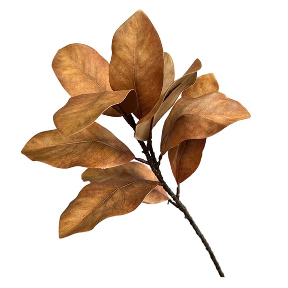 Hearth & Gear 1Pcs Branches de Magnolia Feuilles de Magnolia Feuilles de Magnolia Pics Feuilles de Magnolia Réalistes Brindilles Verdure Magnolia pour Maison Table Vase Intérieur Extérieur Fleurs Extérieures Articles de Réception de Mariage