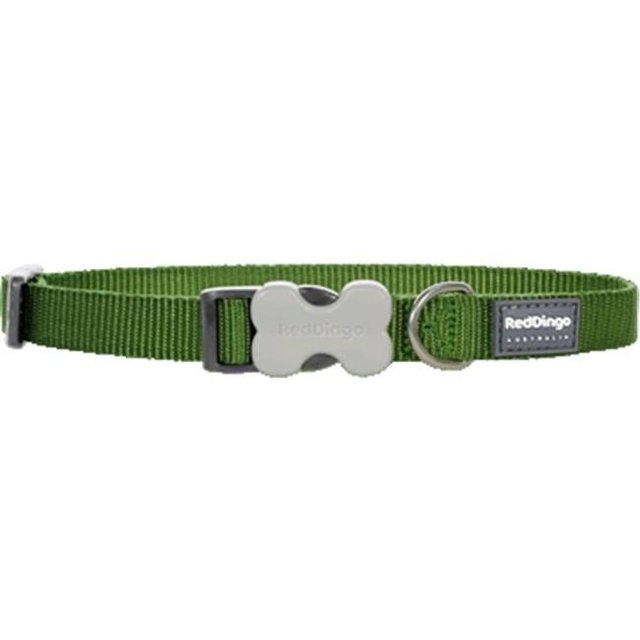 Red Dingo DC-ZZ-GR-SM Collier pour Chien Vert Classique - Petit