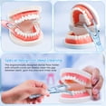thumbnail image 4 of 2pcs Dental Floss Holders Reusable Flosser Handle Holders Refillable Floss Stick, 4 of 9