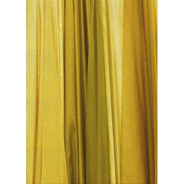 Ahgly Company Tapis d'Intérieur Lavables en Machine, Rectangle Transitionnel, Brun Bisque, 5' x 8'