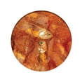 thumbnail image 3 of Catit Nibbly Wraps Chicken and Fish Recipe, 30g, 3 of 3