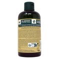 thumbnail image 2 of The Body Shop Anti-Dandruff Ginger Shampoo 8.4 Ounces, 2 of 2