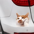 thumbnail image 2 of Car Stickers Car Stickers Funny Rear Window Stickers, 2 of 6