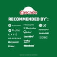 thumbnail image 4 of Cascade Platinum Plus Dishwasher Pods, Dish Detergent ActionPacs, Fresh 21CT, 4 of 7