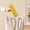 Yellow #6, variant on Stainless Steel Water Bottle Insulated Wide Mouth 480ml Vacuum Sports Kettle Leak Proof Thermal Flask for Gym Travel Camping Hiking Office