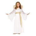 thumbnail image 1 of Déguisement de Jeune Fille Ange, 1 of 1