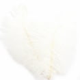 thumbnail image 2 of Ostrich Feather 30-35Cm Colorful Feather Decoration 97# White White Feather (1*Feather), 2 of 7