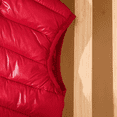 thumbnail image 4 of PatPat Veste Sans Manches Matelassée en Coton à Capuchon pour Tout-Petit Garçon/fillette, 4 of 6