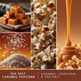 thumbnail image 3 of ScentSationals Scented Wax Cubes value pack - Sea Salt Caramel Popcorn, 3 of 6