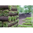 thumbnail image 2 of Grass Sod, 500 Square Foot for Garden & Bulk Landscape Projects, 2 of 3
