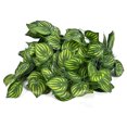 thumbnail image 4 of Artificial Hanging Plants, Artificial Plants Easy To Install Silk Cloth Simulation Watermelon Leaf  For Weddings For Parties For Gardens For Home Decorations, 4 of 8