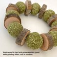 thumbnail image 3 of Chew Toys, Teeth Grinding Improve  Health Small Pet Teeth Grinding Toy For  Golden Hamster, 3 of 8