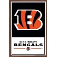 thumbnail image 1 of NFL Cincinnati Bengals - Logo 21 Wall Poster with Magnetic Frame, 22.375" x 34", 1 of 4