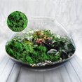 thumbnail image 3 of Fake Moss Natural Looking Easy To Care For Various Decorations Ideal For Potted Plants And Crafts, 3 of 8