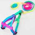 thumbnail image 2 of Adjustable Rainbow Small Rabbit Cat Collar Leash Band Dog Cat collar halter; Pets Lead Harness Strap Belt, 2 of 9