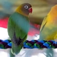 thumbnail image 4 of Rope-Bird Cage Toy Cotton Rope Perch Curved for Large Medium and Small Parrots Budgies Parakeets, 4 of 7
