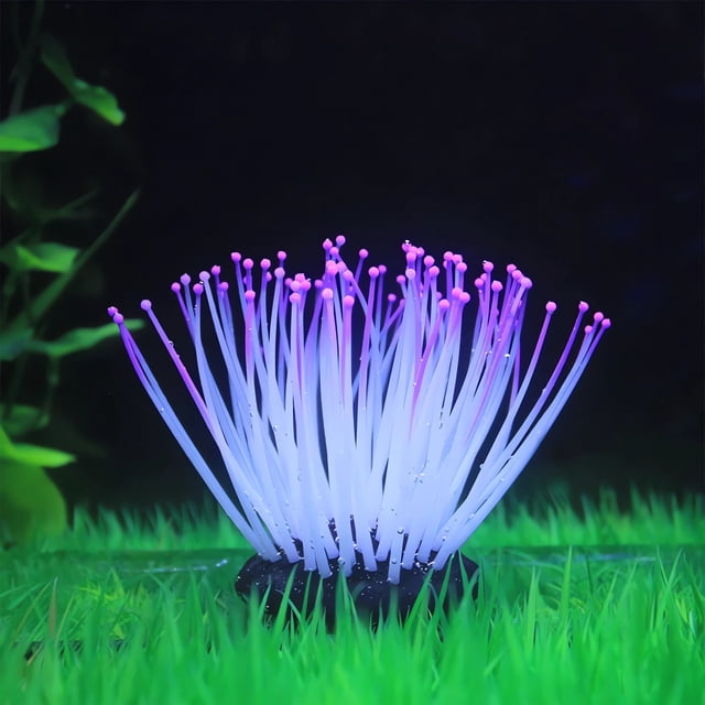 Simulation de Décoration d'Aménagement Paysager pour Aquarium avec Anémone Lumineuse