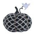thumbnail image 2 of Birdeem Knitted Pumpkin Decor for Halloween,Fall Home Decorations,Handmade Cotton Pillow and Seasonal Accessory,6.7 Inch Diameter Size,Festive Gift Idea, 2 of 9