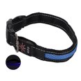 thumbnail image 1 of Dog LED Collar, Dog Luminous Collar Bite Resistant Metal Clip USB Charging With USB Cable For Outdoor For Dogs For Cats Red,Green,Blue, 1 of 8
