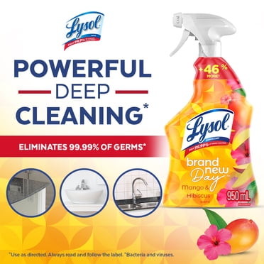 Lysol® Nettoyant tout usage en spray pour lutter contre la graisse, élimine les résidus de savon, parfum mangue et hibiscus, 950 ml