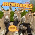 thumbnail image 1 of BrownTrout Jackasses 2024 12x24 Inch Square Wall Calendar, 9781975463359, 1 of 8