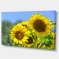 thumbnail image 2 of Magnifique Vue de Tournesols - Impression sur Toile Florale, 2 of 3