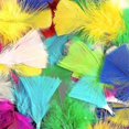 thumbnail image 2 of Colorful Feathers,300pcs Feather For Crafts Striking Feathers, 2 of 5