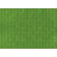 thumbnail image 1 of Ahgly Tapis Rectangulaire Lavable en Machine, Algues Vertes, 5 Pieds x 8 Pieds, 1 of 7