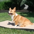 thumbnail image 5 of Gen7Pets Cool-Air Pad Medium, 5 of 5