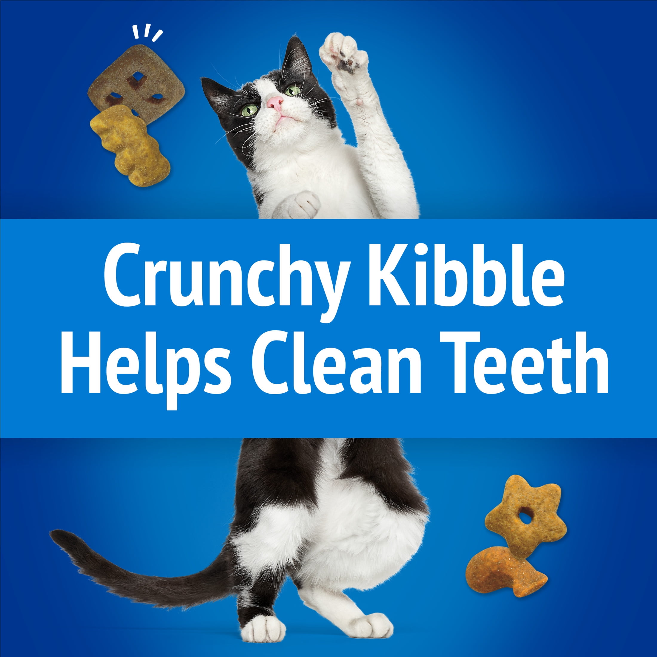 Purina Friskies Party Mix Ocean Crunchy Kibble with Real Whitefish, Cat Treats, 510 g