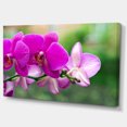 thumbnail image 2 of Beautiful Orchid Flowers on Green - Large Floral Canvas Art Print, 2 of 4