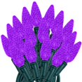 thumbnail image 1 of Novelty Lights 24FT 70 LED C6 Purple Christmas Outdoor String Lights, 1 of 8