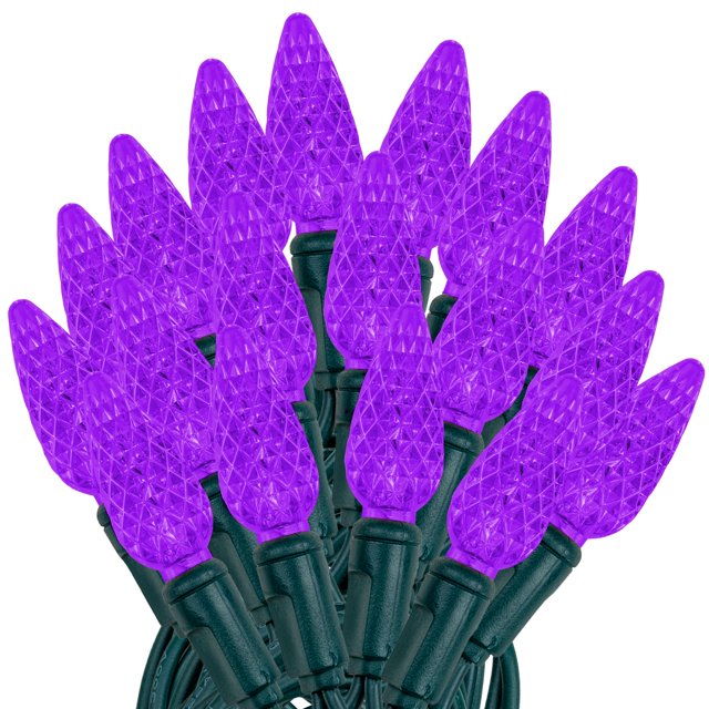 Novelty Lights 24FT 70 LED C6 Purple Christmas Outdoor String Lights