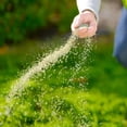 thumbnail image 4 of Schultz Grass Seed, 4kg, 4 of 4