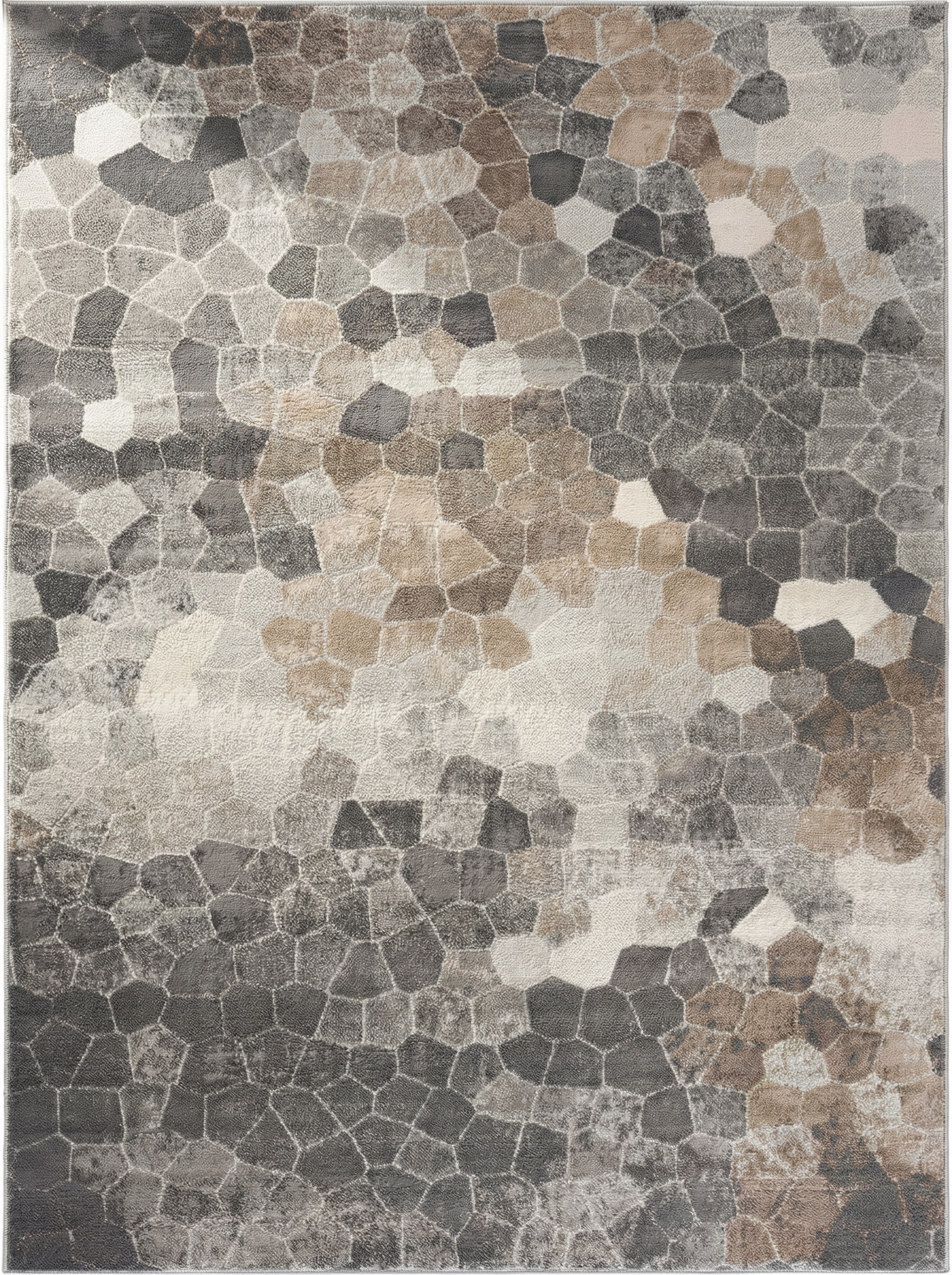 Rug Branch Havana Collection Tapis traditionnel en détresse