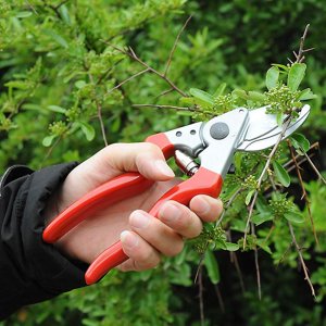 Left Handed Pruning Shears SK5 Carbon Steel Sharp Bypass Pruner Adjusting Tension Mechanical Garden Shears