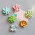 thumbnail image 4 of Aimant de Réfrigérateur Créatif Simulant une Succulente Aimant de Réfrigérateur Décoration de Frigo, 4 of 10