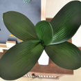 thumbnail image 3 of Allume 2 Pcs Simulation Phalaenopsis Feuille Déco Fleurs Orchidée Feuilles Micro Paysage Déco Vert, 3 of 11