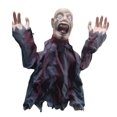 thumbnail image 1 of Glowing Effects Halloween Decor Animated for Party for Front Door (White S), 1 of 7
