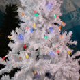 thumbnail image 3 of Novelty 24FT 70 LED C6 LED Christmas String Lights, Multicolor Outdoor, 3 of 6