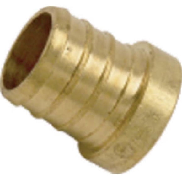 Sharkbite-Cash Acme 137593 0.5 in. Brass Barb Insert Plug